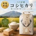 つくば産 コシヒカリ