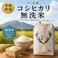 つくば産 コシヒカリ 無洗米